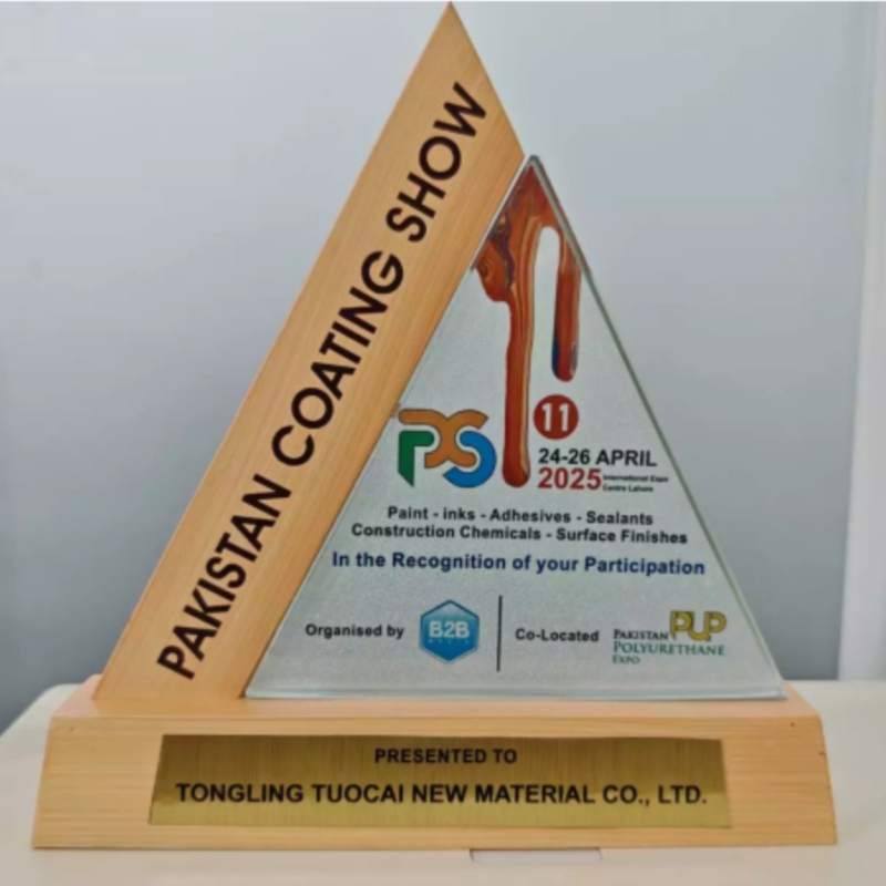 Triển lãm sơn phủ Pakistan đã kết thúc thành công